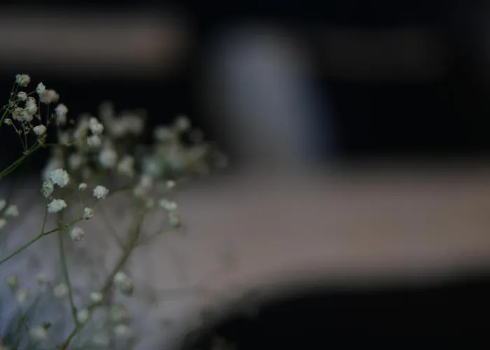 Nevi & Taksim 이스탄불