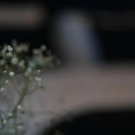 Nevi & Taksim 伊斯坦布尔